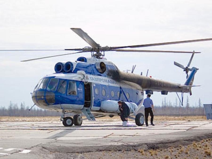 Q4 тулпар авто
